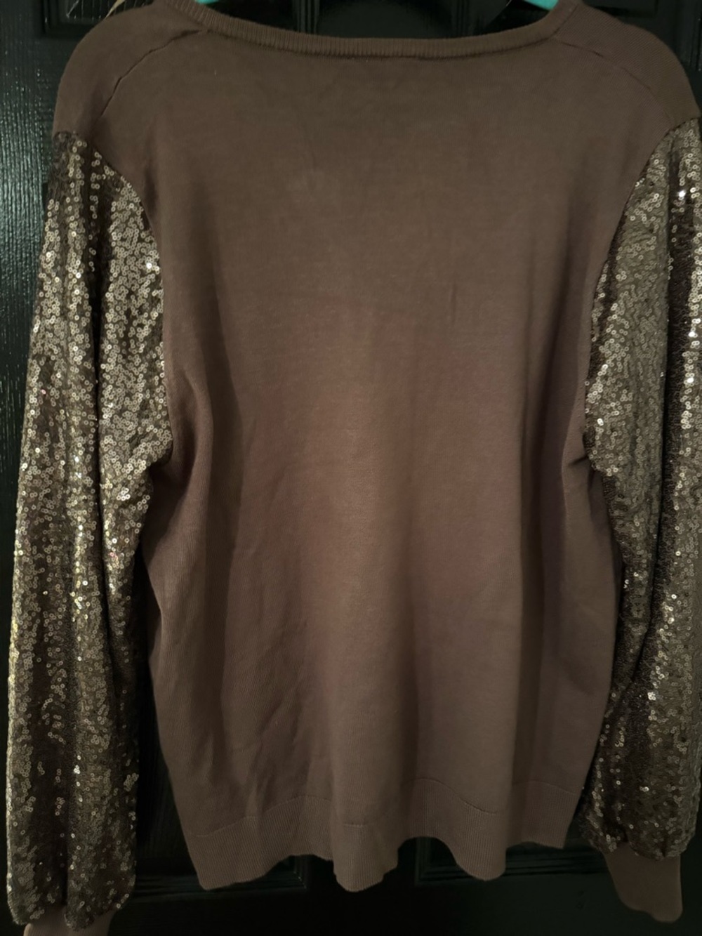 Adrianna Papell Brown Sweater with Sequin Sleeves